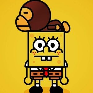 Meet your Posher, Spencer